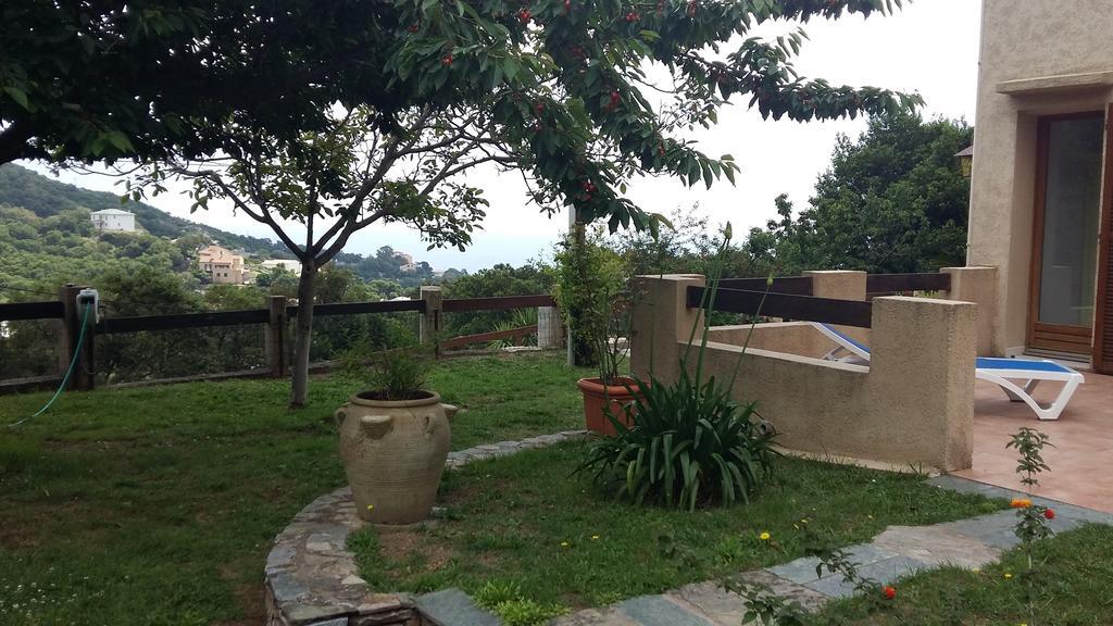 Bas De Villa Chez Mr.Girolami Dominique Bastia  Luaran gambar